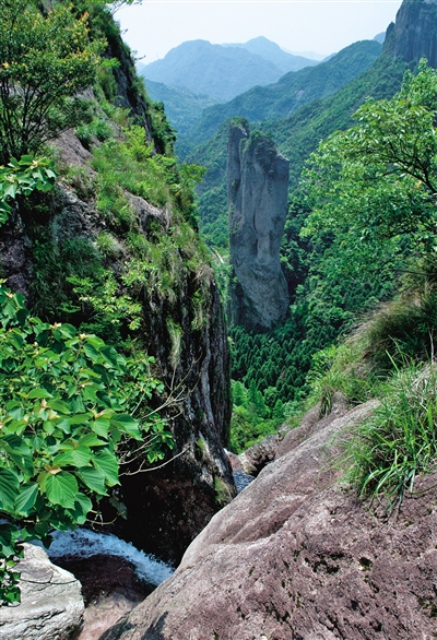 登龍湫背