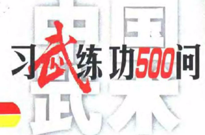 中國武術：習武練功500問