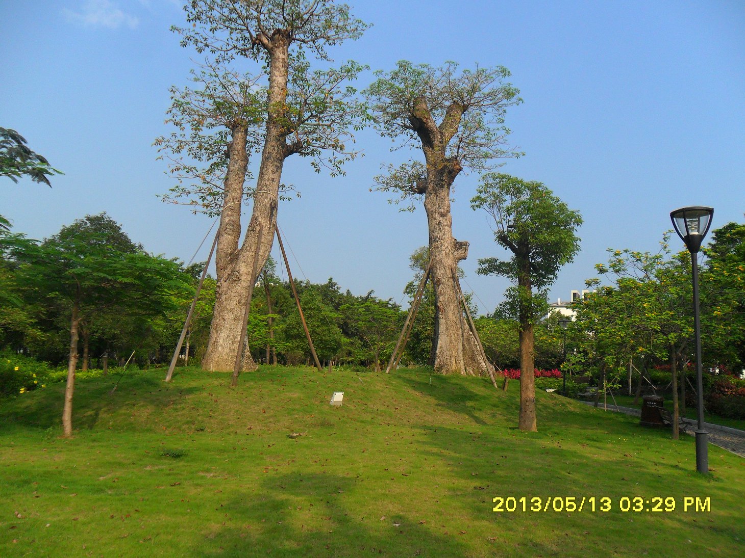 市民公園(廣東省深圳市龍崗區龍城街道市民公園)