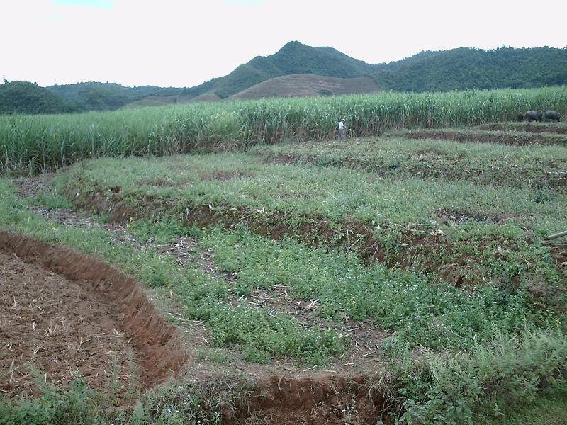 賀回溝新寨自然村