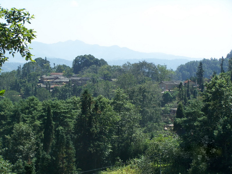 陡溝村(雲南省紅河市箇舊市錫城鎮芹菜塘村下轄村)