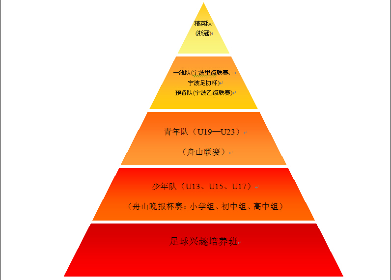 球隊結構