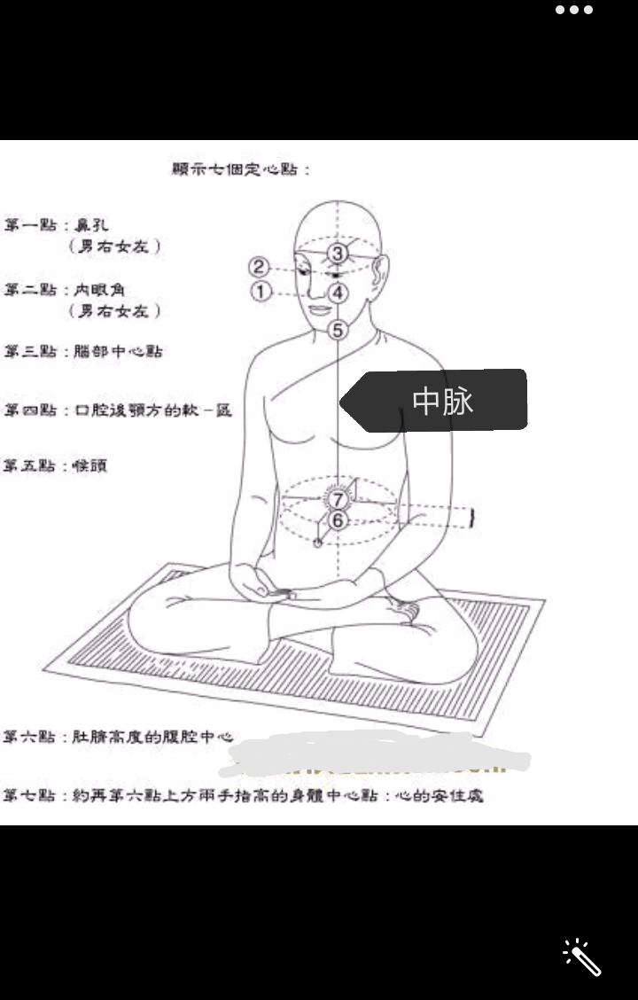 中脈示意圖