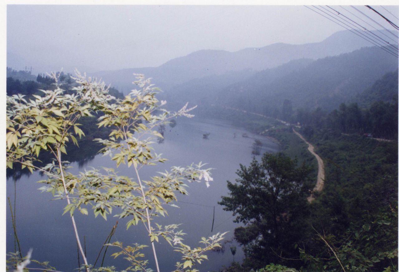 山口馮村