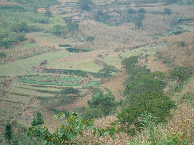 營盤腳自然村耕地一角