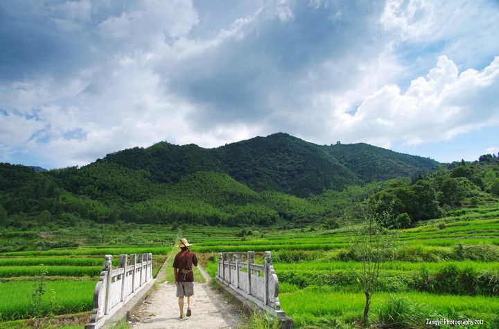 景德鎮高嶺村