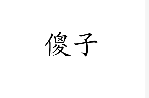 傻子(詞語概念)