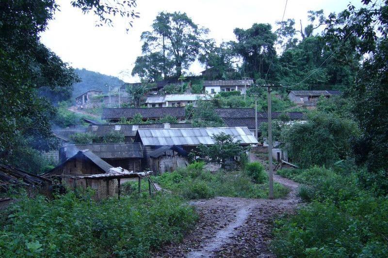 後石龍屯村