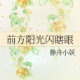 瞎眼(靜舟小妖創作的原創類輕小說)