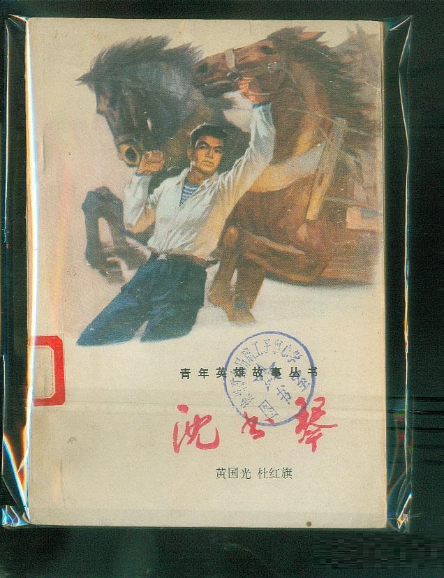 長篇小說《沈書琴》