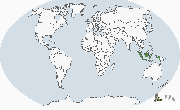 蘇拉藍耳翠鳥分布圖