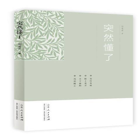 突然懂了(2018年山東人民出版社出版的圖書)