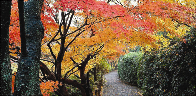 紅山景區