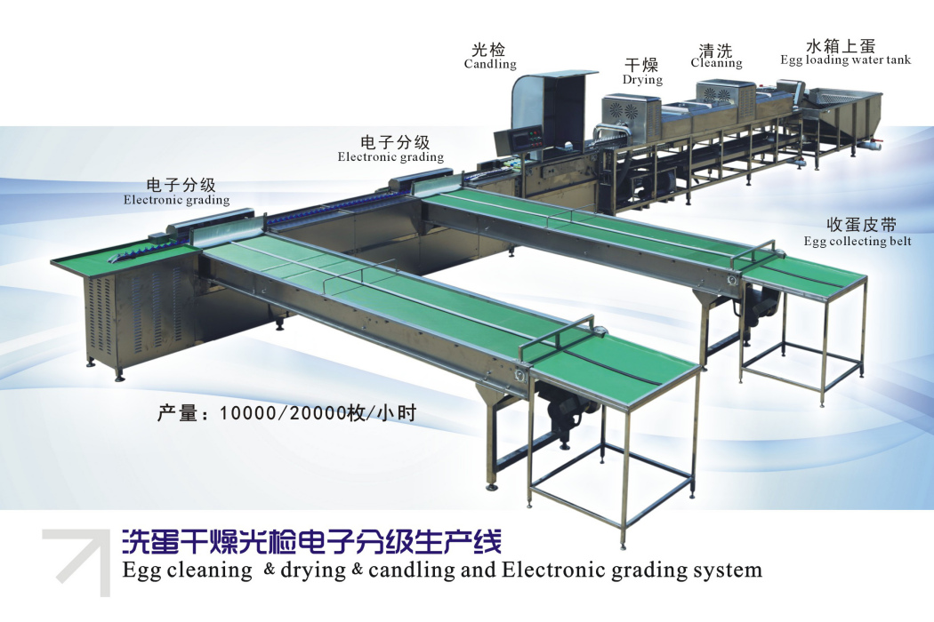 雞蛋清洗機