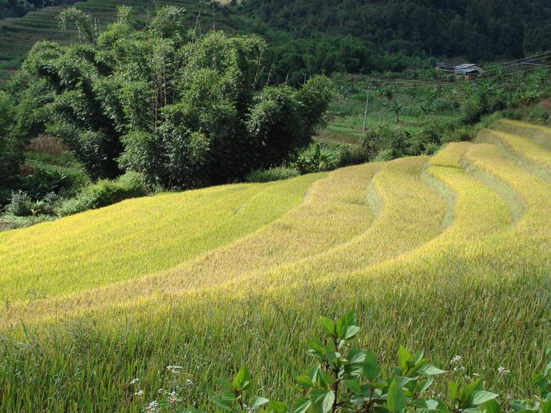 土沙林自然村