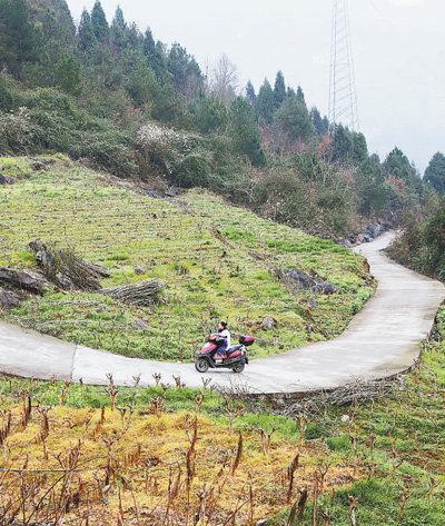 何小英騎著機車行駛在出診路上