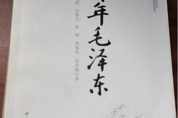 青年毛澤東(2008年中央文獻出版社出版的圖書)