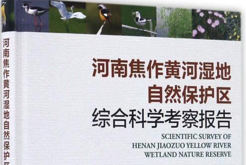 河南焦作黃河濕地自然保護區綜合科學考察報告