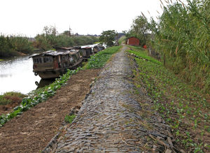 東台西溪古海口棧道遺址高清大圖