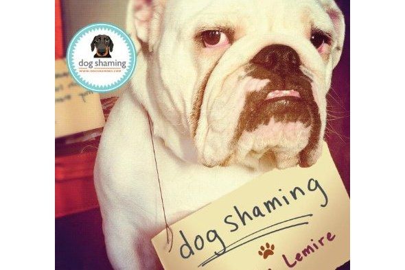 Dog Shaming