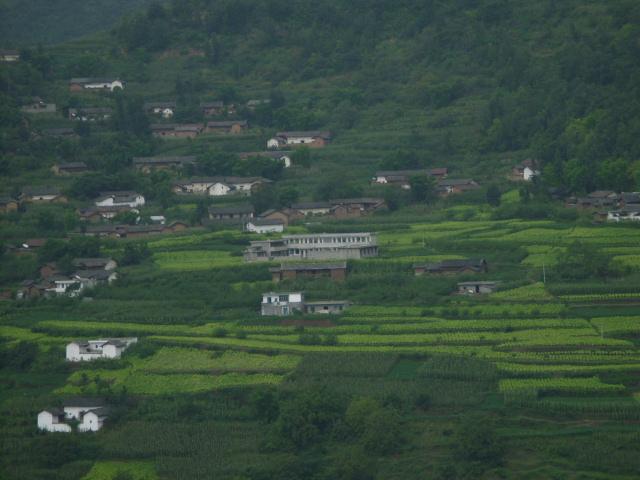 大竹村(雲南省昭通巧家縣白鶴灘鎮大竹村)