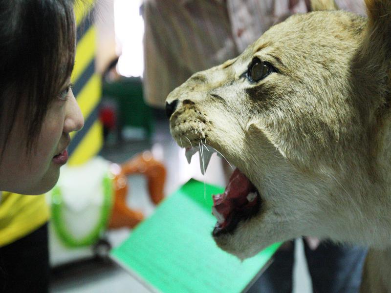 珍稀動物標本館