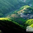 點蒼山風景區