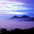 阿里山雲霧(阿里山雲海)