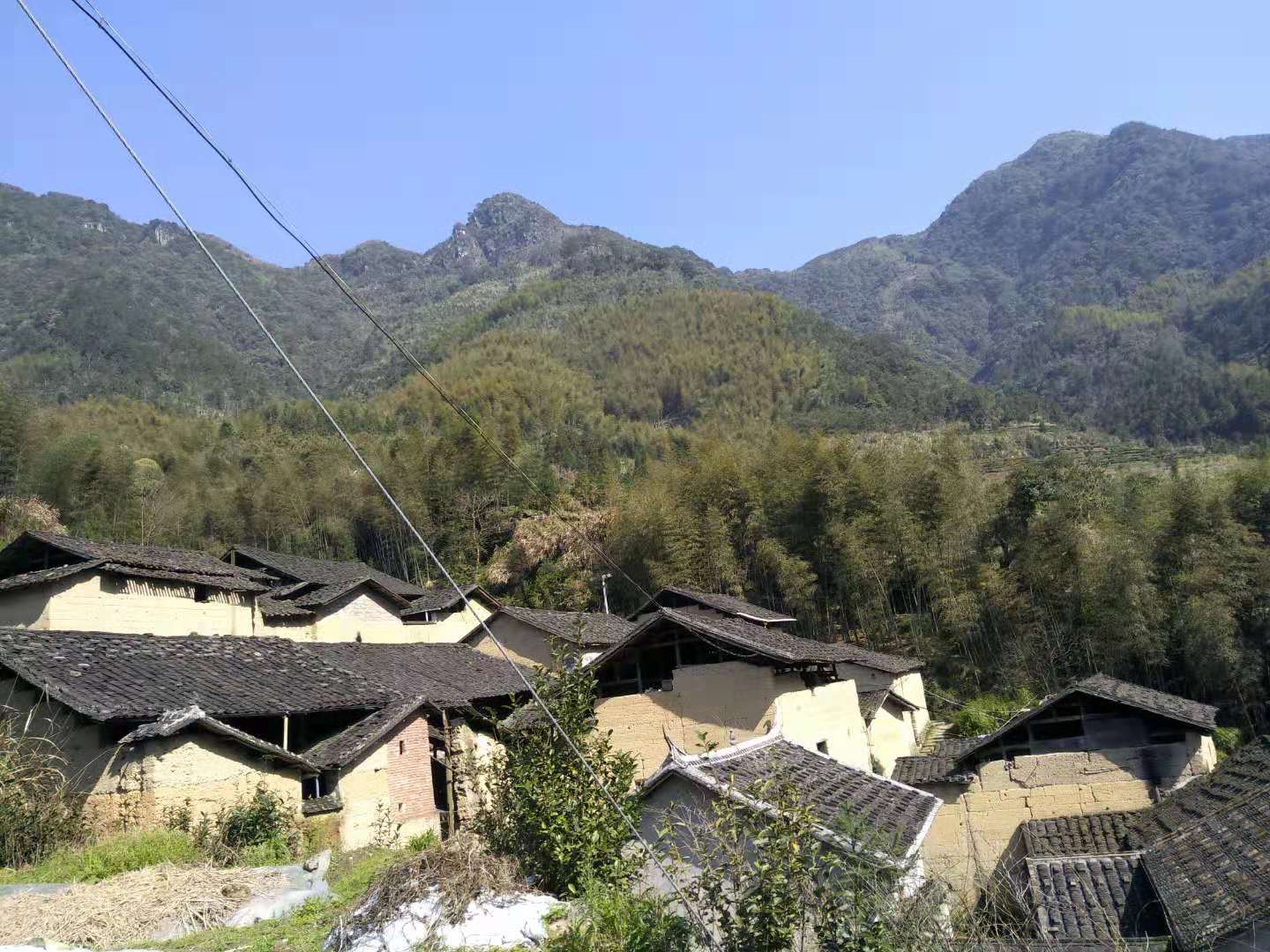 西坑村(福建寧德蕉城區赤溪鎮西坑村)