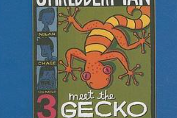 Meet the Gecko