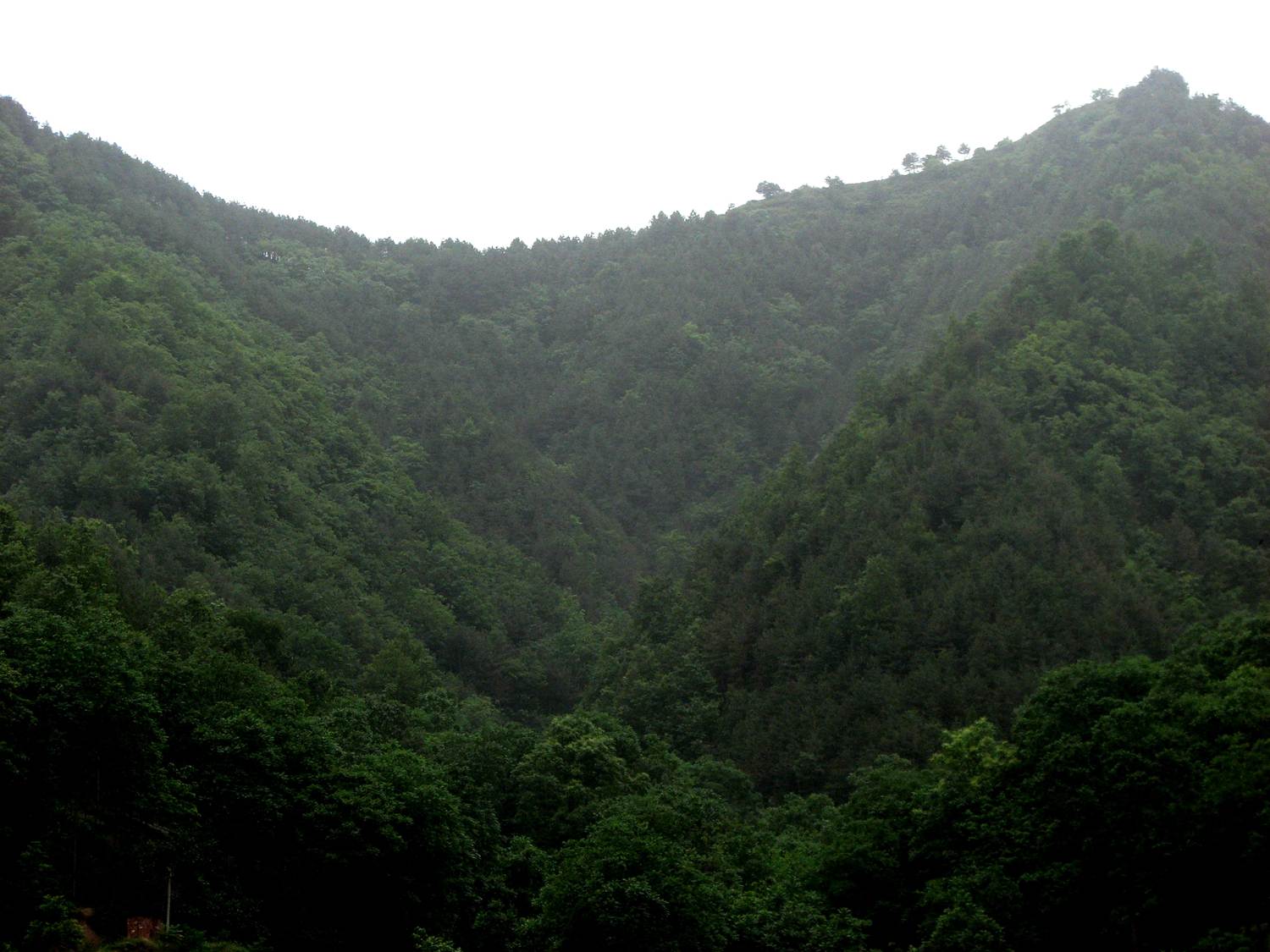 王陵故城山腳入口