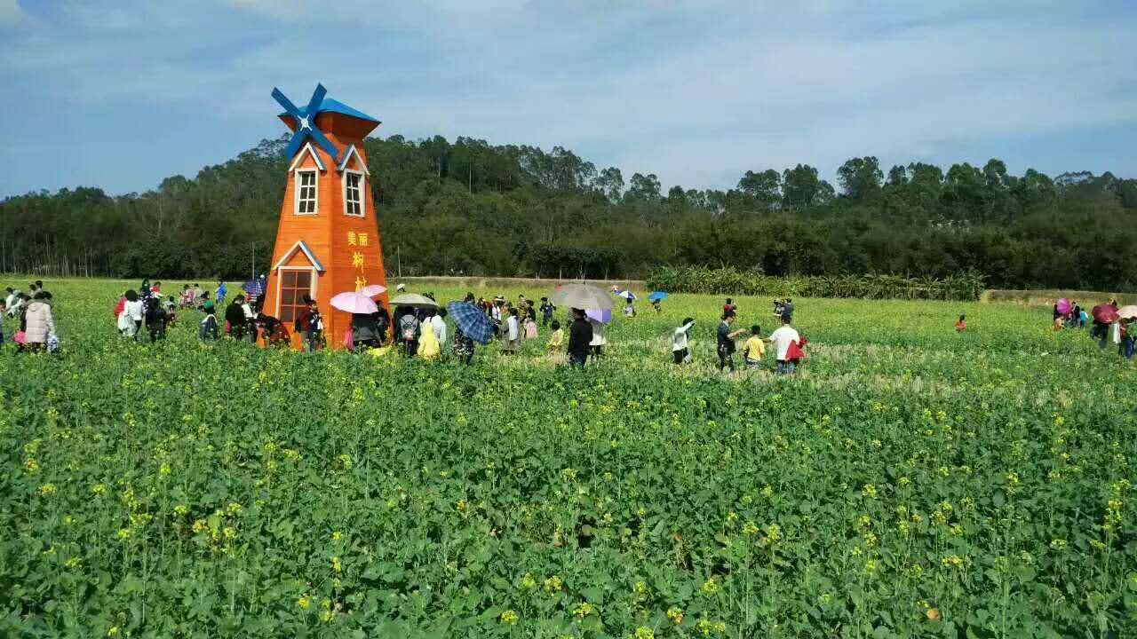 高州柳村