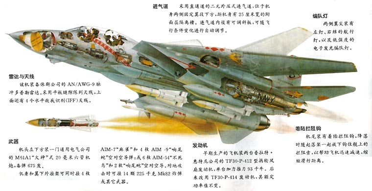 F-14戰鬥機(湯姆貓（美國戰鬥機綽號）)