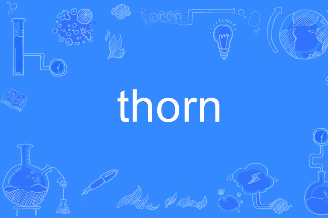 thorn(英語單詞)