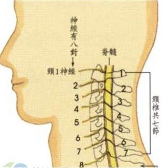 簡訊脖子病