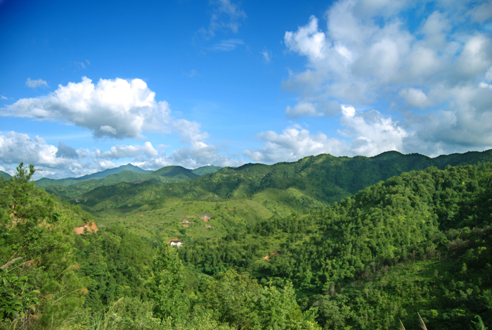 豐溪森林公園