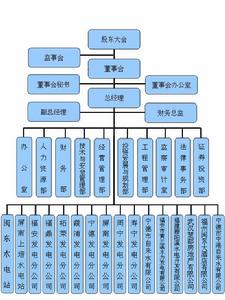 福建閩東電力股份有限公司組織結構圖