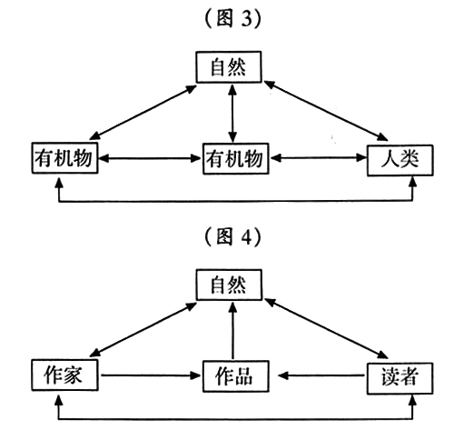 生態女性主結構