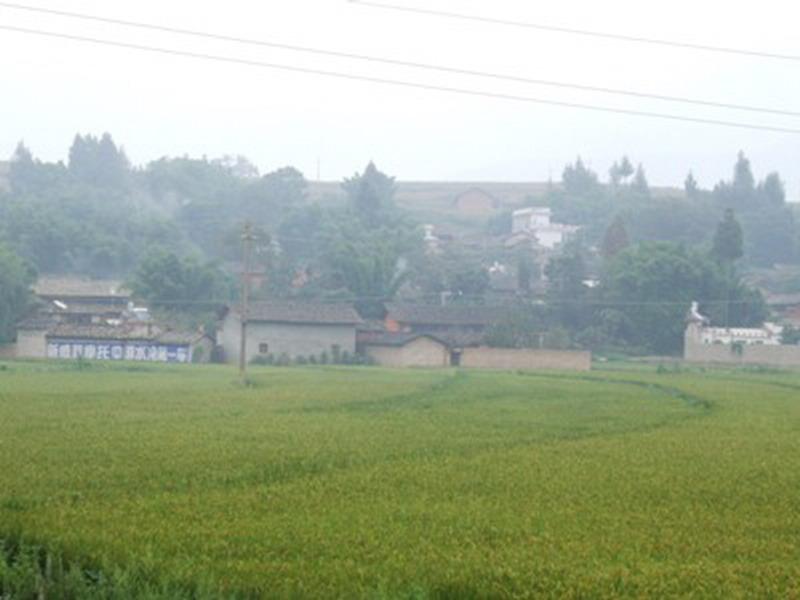 芭蕉樹村(倘甸鎮白章村委會芭蕉樹村)