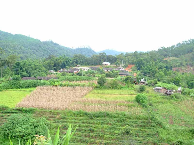 高井槽村(雲南省景洪市大渡崗鄉大荒田村委會高井槽村)