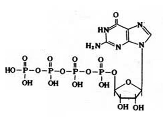 （鳥苷-5′-四磷酸）ppppG的結構式
