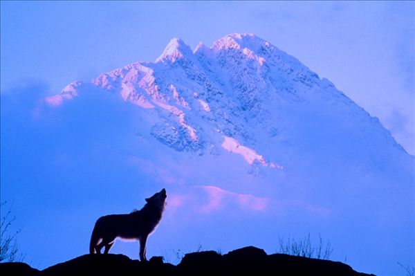 狼林山脈