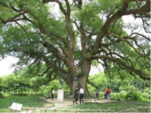 湖南永興丹霞國家森林公園(永興丹霞國家森林公園)