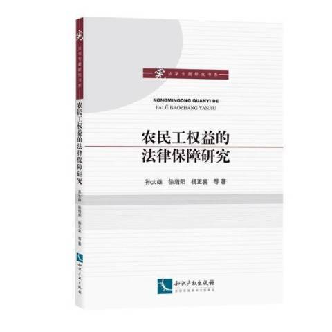 農民工權益的法律保障研究(2017年智慧財產權出版社出版的圖書)