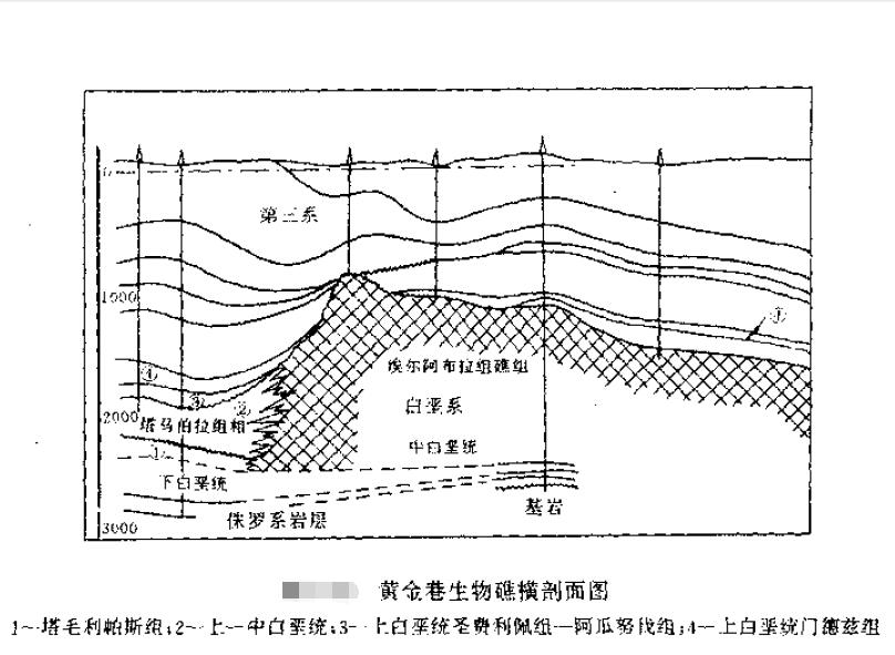 礁塊油氣藏