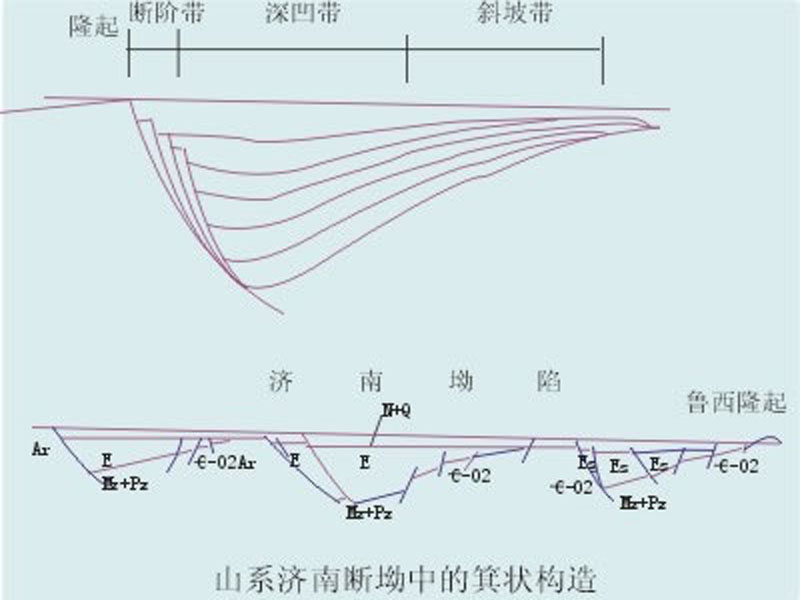 箕狀構造