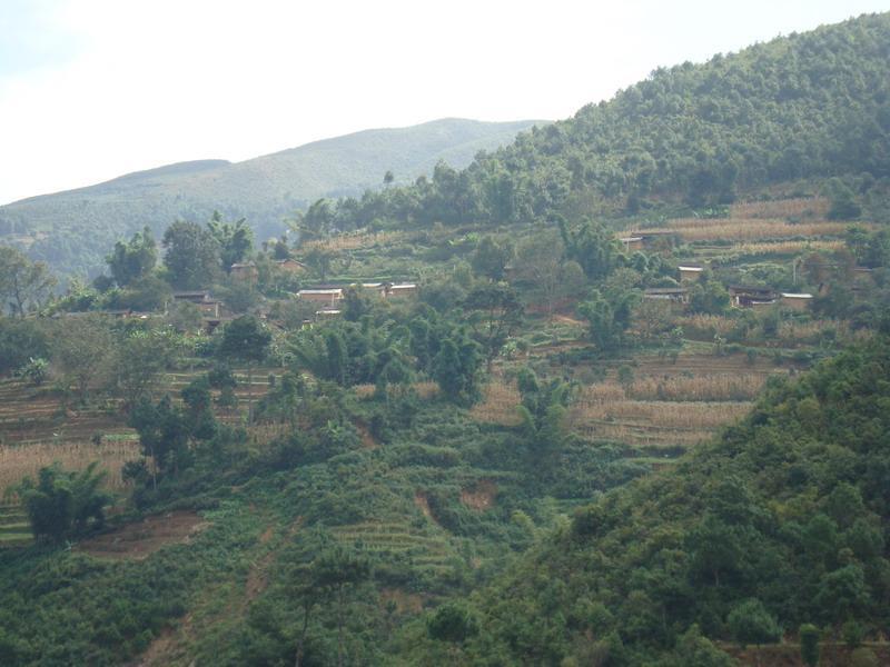 松山林自然村