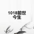 1018前世今生