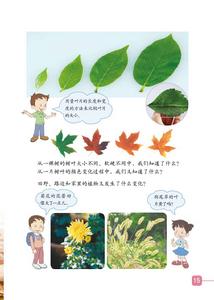 植物發生了什麼變化