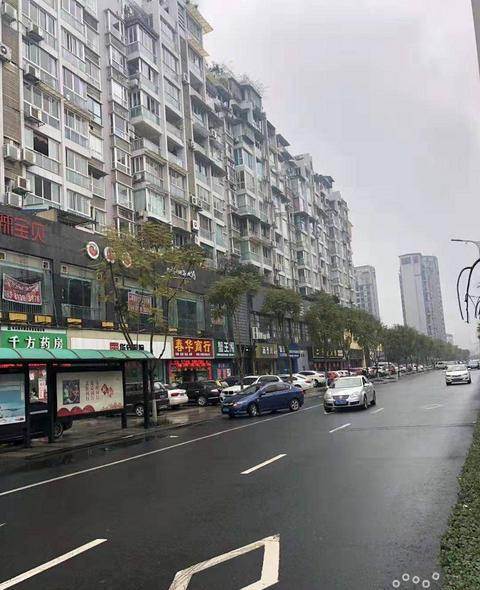 春華路(深圳市春華路)